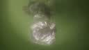 新款创意小狗背包挂件车载亚克力平面挂饰可爱钥匙扣送闺蜜款吊坠 小泰迪蓝色裤子平面挂件 1个 实拍图