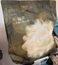 babycare爆款山茶花一次性内裤女孕产妇日抛出差旅行XL码15条【安全灭菌】 实拍图
