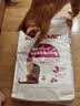 皇家猫粮 挑嘴成猫猫粮 高适口性 EF38 通用粮 12月以上 10KG 实拍图