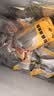 龙大肉食黑猪棒骨2斤 免切带骨髓猪筒骨猪大骨头≥30%带肉率 黑猪肉烧烤 实拍图