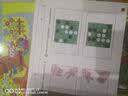 识字大王1400余字（2-6岁 学龄前儿童看图学拼音学汉字带音频）幼小衔接点阵控笔练字帖 识字有声书 幼小衔接学前识字大全 幼儿识字 幼儿园大班推荐书目 早教发声书 点读书 实拍图