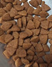 皇家狗粮 幼犬狗粮 宠物 小型犬 MIJ31 全价犬粮 2-10月 2KG 实拍图