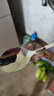 onlycook304勺子长柄汤匙 不锈钢西瓜挖勺 吃饭辅食勺小汤勺调羹餐具 实拍图