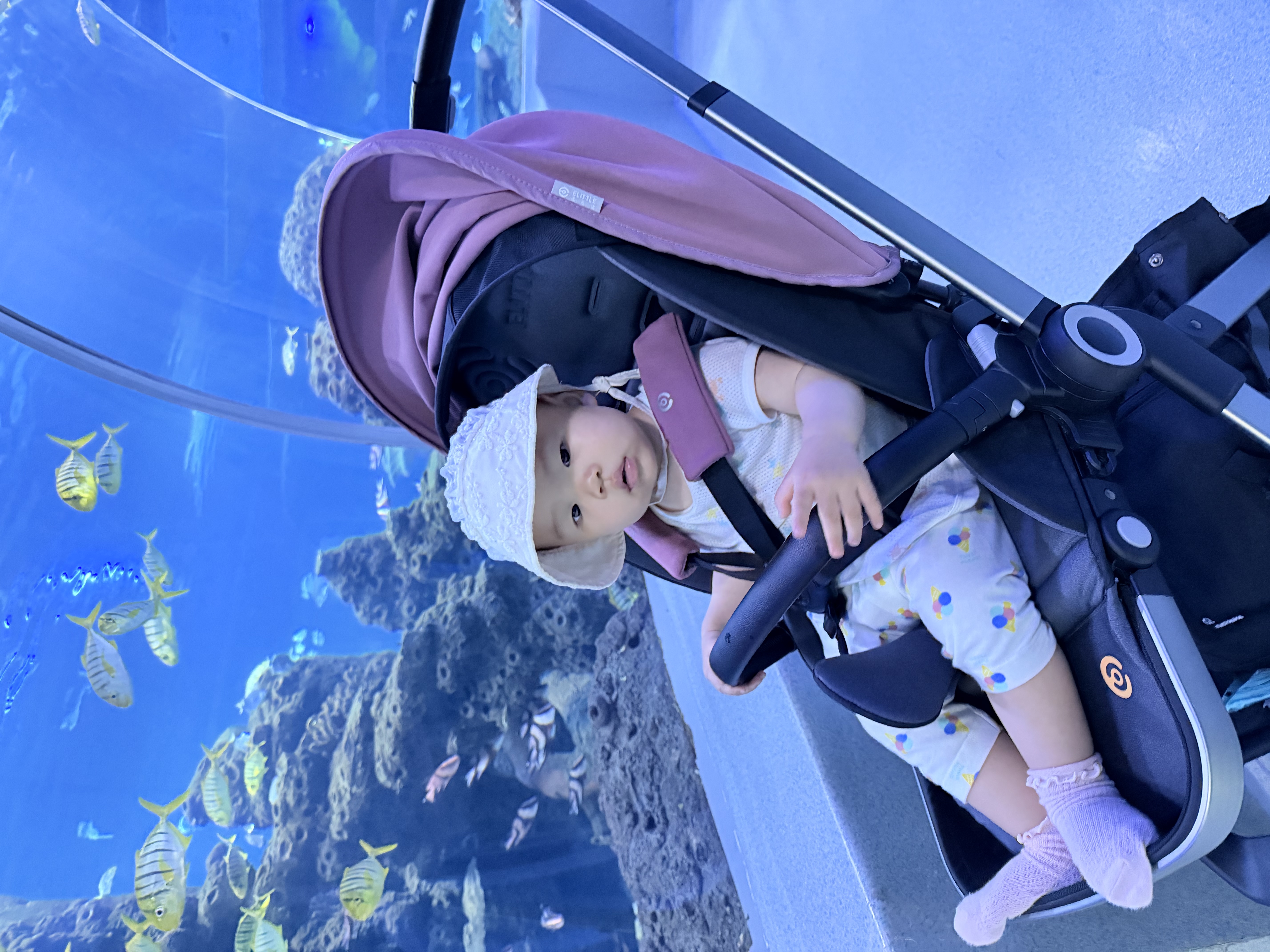 优衣库婴幼儿AIRism紧身裤/七分宝宝打底裤裤子26春夏新款485144 01 乳白色 90 实拍图