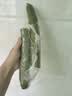 长丝瓜 约700g 实拍图