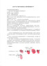 Apple 苹果 iPhone 17/16/15/14/13/12/11/X系列二手手机 规格见质检报告 苹果 iPhone 11 实拍图