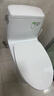 TOTO马桶CW817REB节水连体卫生间冲落式主体陶瓷智洁座便器(04-A)  CW854SB【经典爆款】305坑距 实拍图