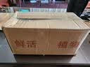 临雅水培圆叶福禄桐钱多多盆栽植物客厅桌面水养绿植四方瓶源头直发 实拍图