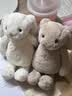 Jellycat害羞乳白色邦尼兔动物毛绒玩偶安抚玩偶娃娃送礼生日礼物 害羞乳白色邦尼兔 Small 实拍图