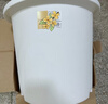 爱丽思（IRIS）Deepot花盆加厚树脂控根圆口绿萝绣球月季多肉发财树塑料加仑花盆 9号白色(口径约30cm)约12L 实拍图