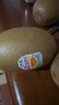 佳沛（zespri）新西兰阳光金果4粒装单果约103-114g 猕猴桃新鲜水果源头直发 实拍图
