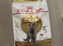 皇家英短成猫粮 BS34 通用粮 12月以上 4.5KG 实拍图