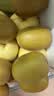 佳沛（zespri）新西兰阳光金奇异果 8个装 特大果单果重约124-146g 水果猕猴桃 实拍图