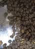 网易严选全价猫粮成幼猫主粮三文鱼亮毛深海鱼虾味1.8kg 【宠物金选】 实拍图