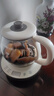 小熊（Bear）煮茶壶喷淋式煮茶器 小型一人蒸茶壶养生壶 迷你养生烧水壶 1升 ZCQ-H10D1 实拍图