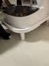 小佩宠物自动喂食器增高支架 7.8cm 适用除一代以外所有小佩喂食器 实拍图