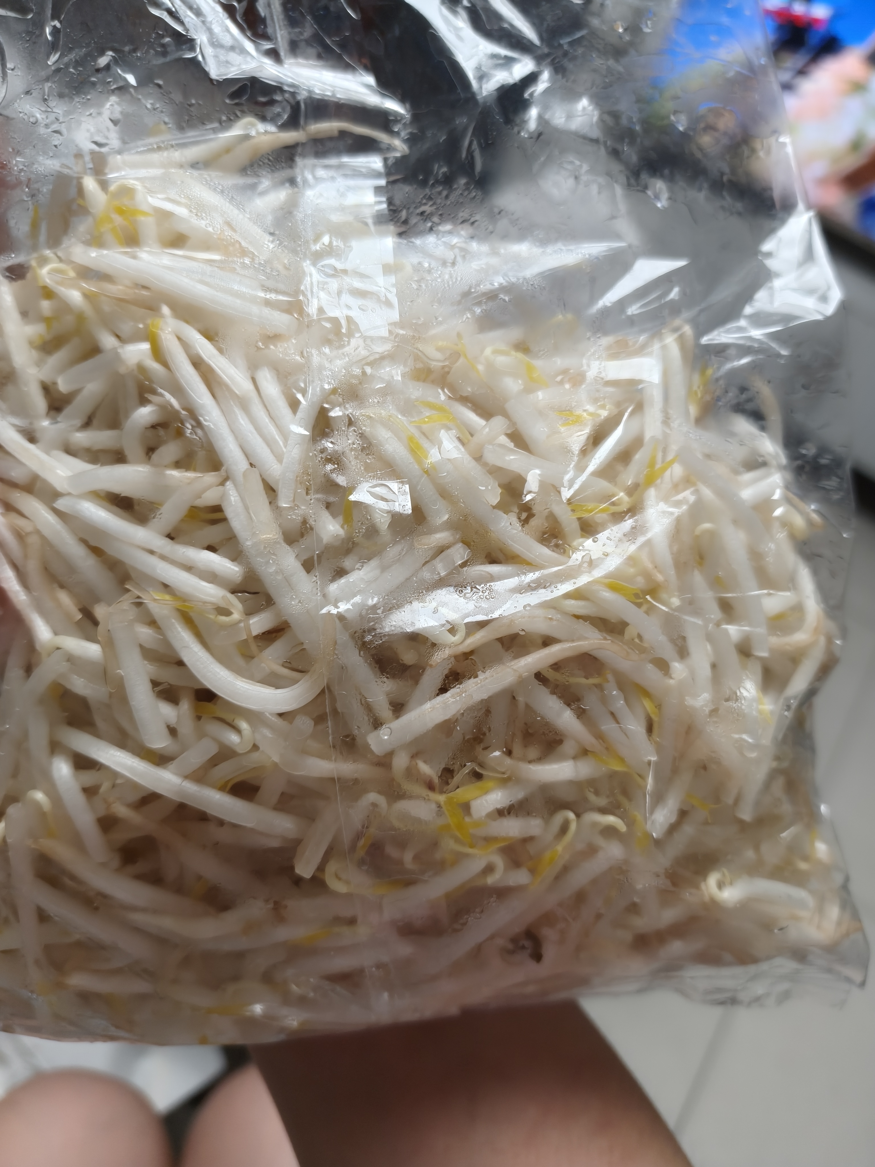 绿豆芽300g 实拍图