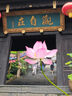 雅鹿·自由自在 A类抗菌空调被春秋夏凉被子夏季单人薄被子150x200cm 浅灰 实拍图