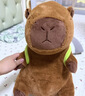 熊猫熊卡皮巴拉玩偶公仔布娃娃毛绒玩具儿童送女孩生日礼物女生睡觉抱枕 实拍图