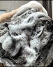 维特丝防脱洗发水生姜固发侧柏叶育控油去屑持久蓬松洗头膏露男女士专用 实拍图