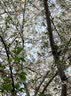 桂格（QUAKER）即食燕麦片1000克袋装 营养早餐 膳食纤维 零添加白砂糖 实拍图