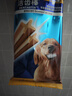 宝路洁齿棒磨牙棒 狗零食大型犬成犬125g*12包狗狗金毛拉布拉多萨摩耶 实拍图