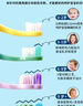 安心小香葱约150g 实拍图