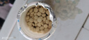 国光多菌灵杀菌剂花卉苗木水果蔬菜园艺叶斑病赤霉病通用杀菌500g 实拍图