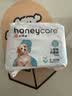 HONEYCARE 狗狗纸尿裤 公狗用 S码12片 可调节魔术贴 3包 生理期 大尺寸 实拍图