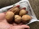 古力巴戈京东原味新二薄皮核桃500g 新疆特产坚果炒货生核桃不带夹子 实拍图