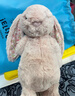 Jellycat害羞乳白色邦尼兔动物毛绒玩偶安抚玩偶娃娃送礼生日礼物 花布胭脂粉色邦尼兔（彻蕊） Medium 实拍图
