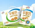 伊利麦香/核桃味早餐奶 营养美味 多种果蔬谷物 礼盒装 【核桃味】250ml*24盒 4月产 实拍图