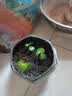 德沃多16L植物营养土通用养花土种菜有机土壤多肉盆栽种植土椰糠 实拍图