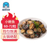 海鲜世家去冰净重鲍鱼仔净重1斤 60-72粒 家庭聚餐小海鲜煲粥火锅食材 实拍图