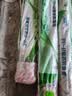 日丰管ppr水管三层抗菌管道4分20 6分25冷热水通用 日丰管瓷芯抗菌系列 热熔管 【3米价 顺丰包邮】6分管25mm*壁厚4.2mm 实拍图