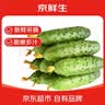 京鲜生 山东新鲜长黄瓜 净重3斤 新鲜蔬菜瓜香四溢 源头直发包邮 实拍图