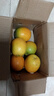 纽荷尔脐橙夏橙新鲜采摘水果 【鲜甜多汁】带箱2斤 小果65mm+普箱 实拍图