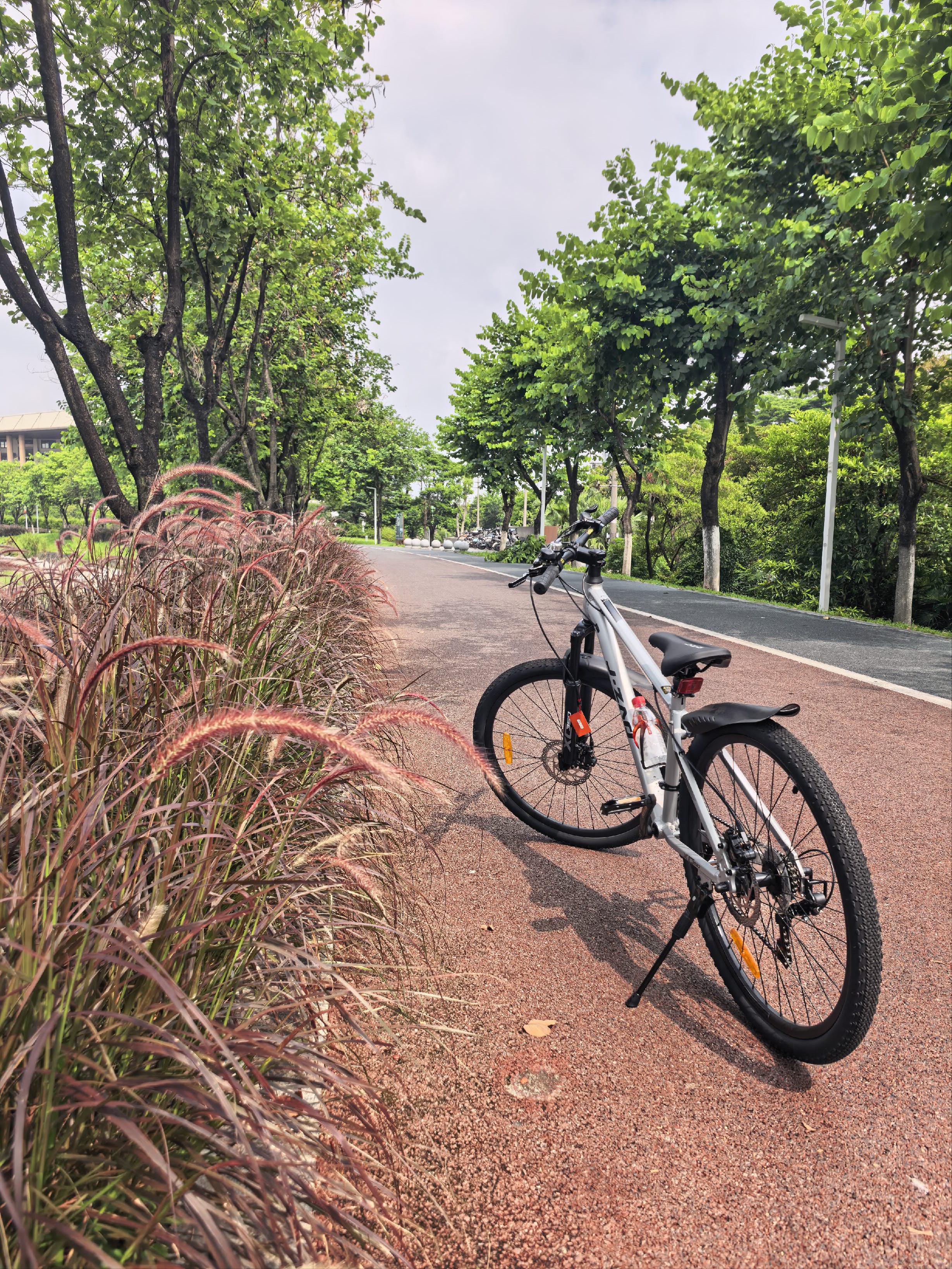 京东京造 XC350山地自行车铝合金禧玛诺21速油压碟刹成年人学生15寸时空银 实拍图