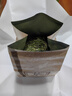 狮峰牌2026年新茶绿茶龙井茶叶明前特级250g老茶树纸包装送礼自己喝 实拍图