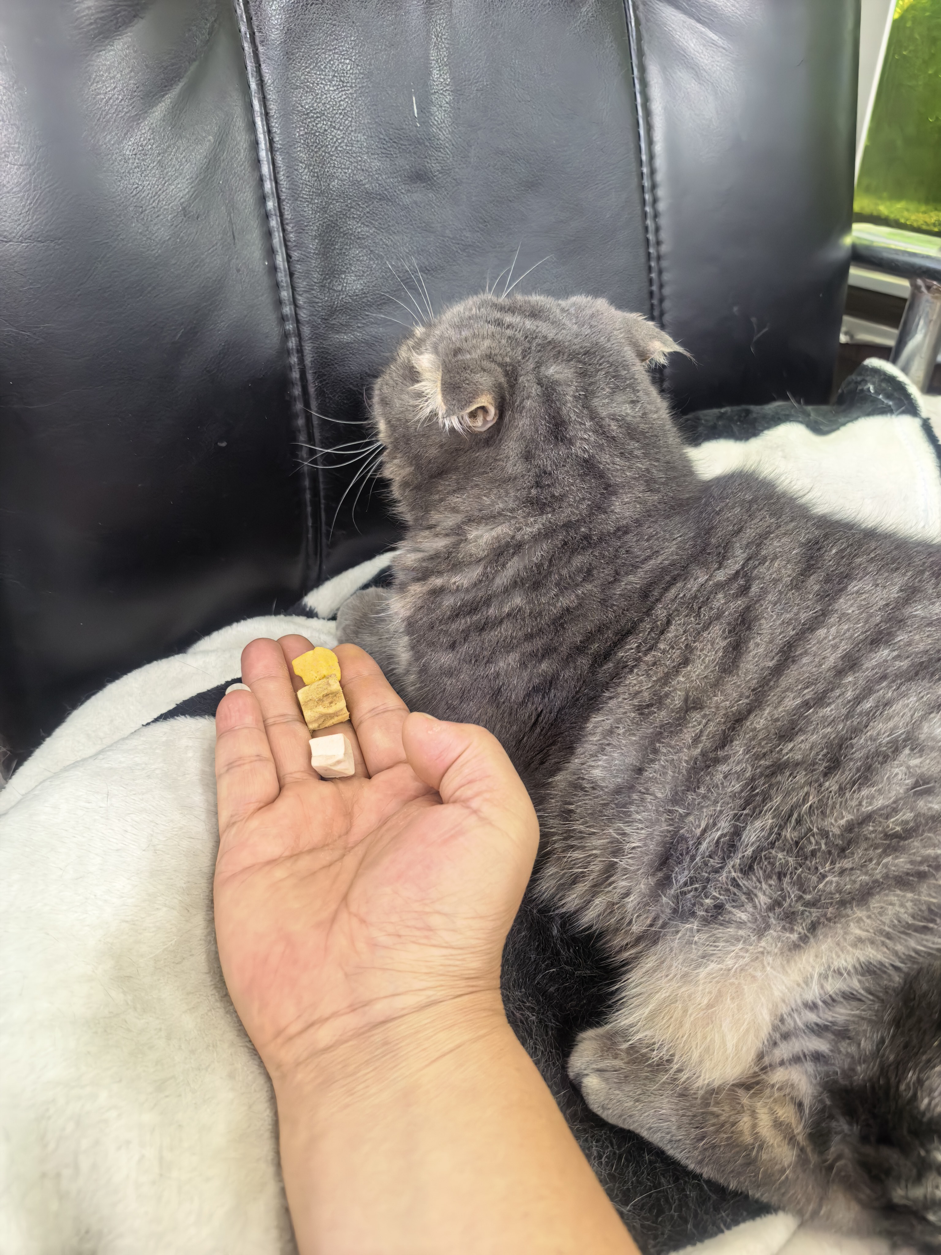 WEYES冻干14拼混合桶500g宠物猫狗零食冻干鸡肉鸡胸肉鸭肉粒营养补充 实拍图