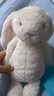 Jellycat害羞乳白色邦尼兔动物毛绒玩偶安抚玩偶娃娃送礼生日礼物 害羞乳白色邦尼兔 Medium 实拍图