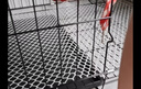 宠乐乖（CHONGLEGUAI） 猫笼 加粗侧开门折叠大号猫别墅多层猫舍猫窝宠物猫咪用品700MLZ 实拍图
