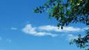 松下S5M2（20-60mm F3.5-5.6）（Panasonic）S5二代 全画幅微单相机 约2420万有效像素 新相位混合对焦 实拍图