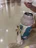 babycare儿童保温杯水壶吸管杯大宝宝学饮不锈钢三合一上学600ml 实拍图