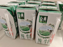 伊利【新鲜日期】金典纯牛奶整箱 200ml*24 3.6g乳蛋白 礼盒装 5月 实拍图