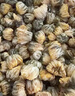 福茗源花草茶 菊花茶胎菊250g 特级无硫头采胎菊茶白菊花蕾泡水喝养生茶 实拍图
