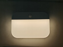 美的（Midea）智能人体感应灯led睡眠小夜灯充电式家用走廊过道床头起夜灯 实拍图