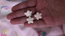 嘉宝（GERBER）婴幼儿辅食 星星泡芙草莓苹果味 三段（8个月以上）42g原装进口 实拍图