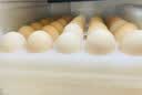 京鲜生【供港品质】【每日鲜蛋】叶黄素可生食鸡蛋30枚3.78斤/盒 礼盒  实拍图