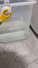 多乐信（DOROSIN）除湿机/抽湿机 除湿量21升/天 42㎡家用轻音地下室干衣除湿吸湿器 客卧除潮干燥机ER-20 实拍图